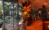 View of the dining room/living area