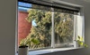 Bedroom window