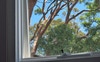 View from bedroom
