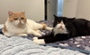 Cooper and Ernie 