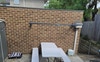 Backyard and puppy