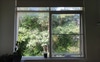 The view from your room