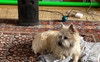 Here is Louie :-) 