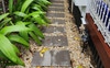 Access to the backyard and the studio