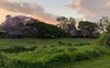 Kedron Brook