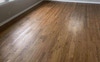 linamaoris@gmail.com