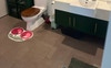 Shared Bathroom