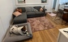 Lounge room 