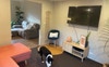 TV room