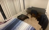The Queen room - not available