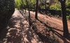 Pathway