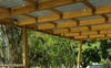 Verandah out the back