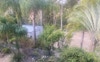 The large Back Yard with shed