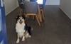 Entry/Dining & Charlie
