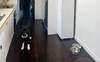 And bar for kitchen 