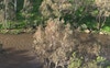 View from balcony 