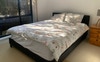 Queen size bed freshly painted big windows 