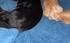 My boys 