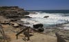 Lifestyle - Maroubra rock pool