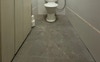 Back toilet