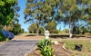 View from house over to park