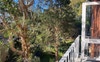 Our balcony :D