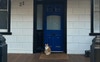 Always someone to greet you home :)