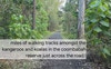 Across the road is the coombabah nature reserve. 