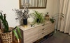I like plants