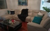 Tv room 1