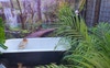 Outdoor private bath