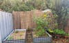 Veggie Patch