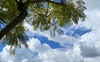 Kedron Brook 